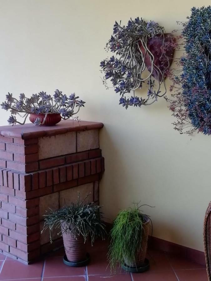 Il Melograno Bed & Breakfast Calitri ภายนอก รูปภาพ