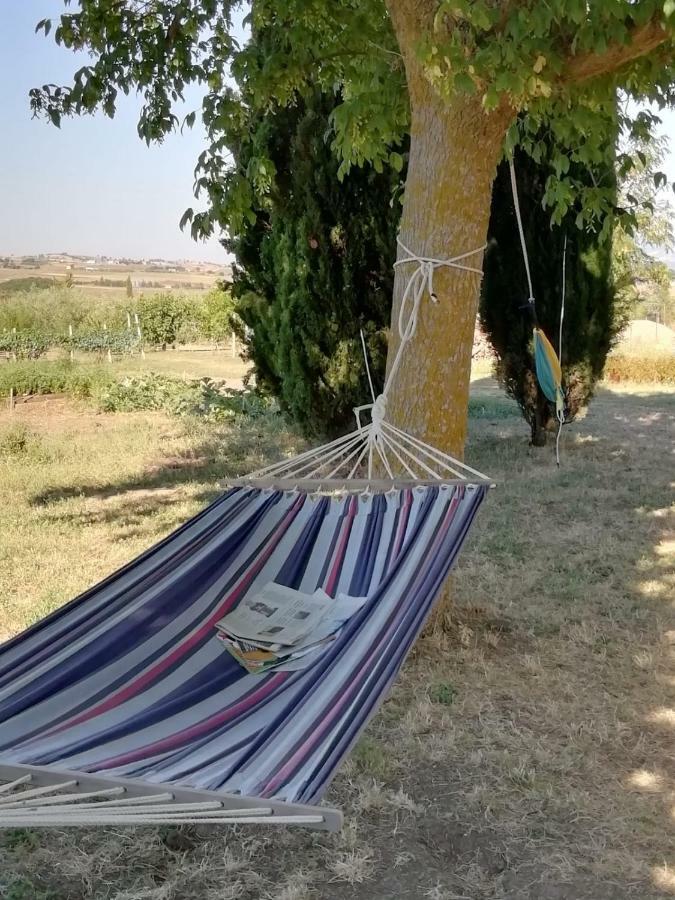 Il Melograno Bed & Breakfast Calitri ภายนอก รูปภาพ